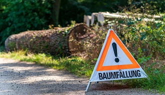 Baumfällung_shutterstock_1926686429.jpg