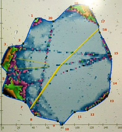 Baumfaellung Tomographie Baumfaellung Tomographie © Stadt Westerstede