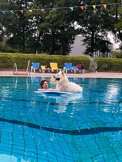 Hund "Cäsar" lässt sich von seinem Herrchen durch das Wasser ziehen. Foto: Hössensportzentrum Hund "Cäsar" lässt sich von seinem Herrchen durch das Wasser ziehen.
Foto: Hössensportzentrum © Stadt Westerstede