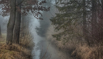 moorland-4809696_1280.jpg