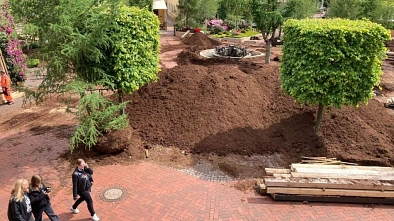 rhodo_rueckbau_nwzonline.jpg rhodo_rueckbau_nwzonline.jpg © Nordwest-Zeitung