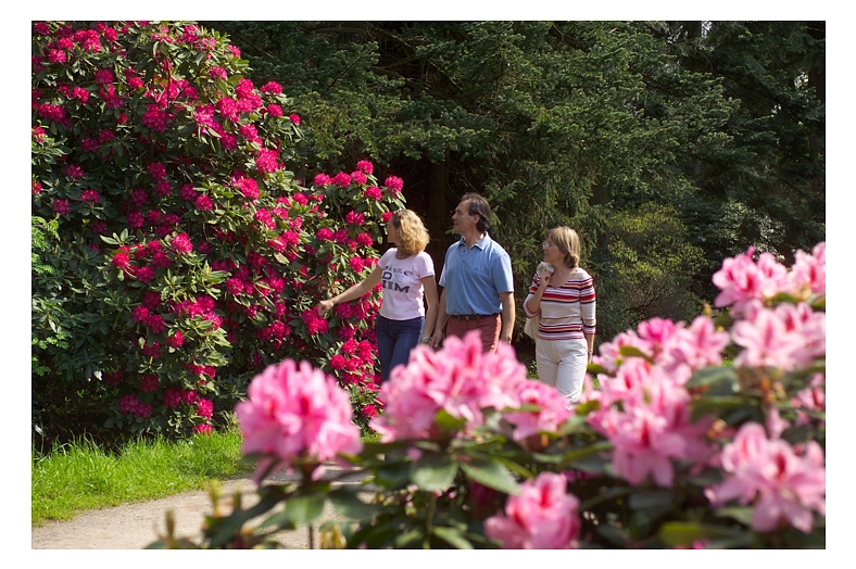 Rhododendronpark