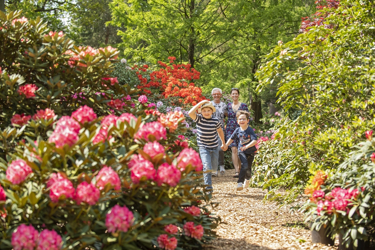 Rhododendronpark_Familie Familie im Rhodopark © Stadt Westerstede
