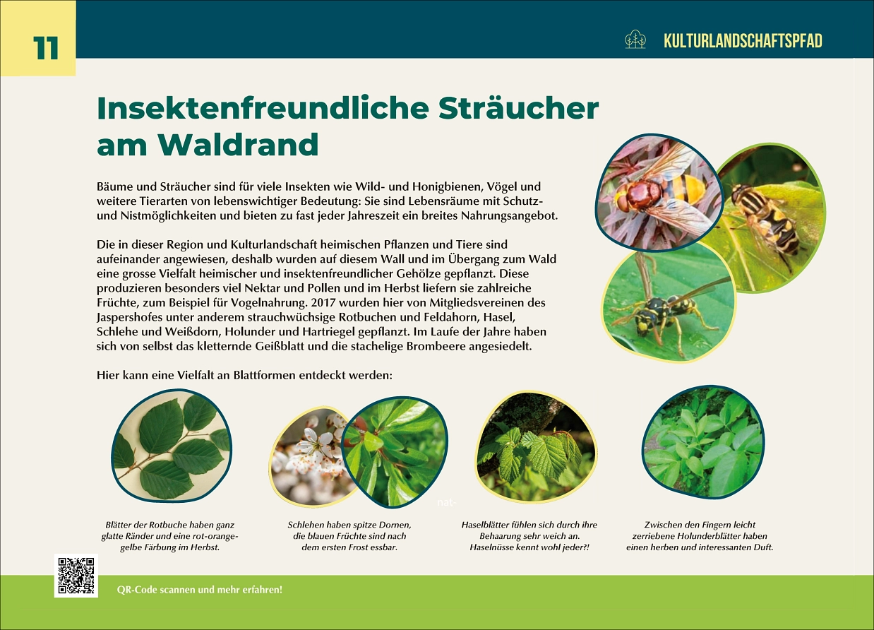Station_11.png Station_11.png © Stadt Westerstede