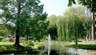 thalenweide.jpg
