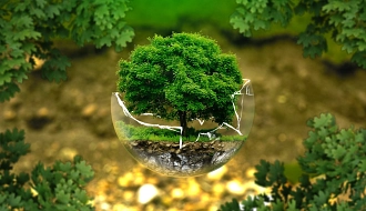 Umwelt_326923_1280.jpg