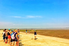Wattwanderung in Dangast
